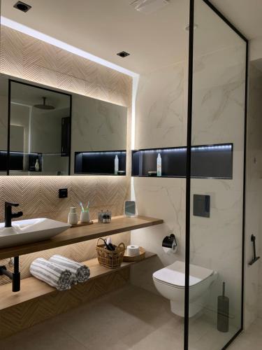 阿利卡纳斯Ayïa suites的一间带水槽、卫生间和镜子的浴室