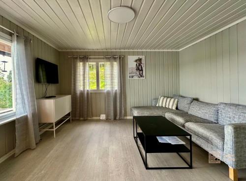 HektnerClose to nature cabin, sauna, Øyeren view, Oslo vicinity的带沙发和电视的客厅