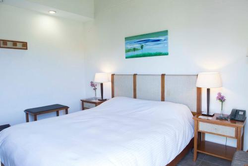 波萨达斯Hotel Maitei Posadas的卧室配有一张白色的大床和两张桌子