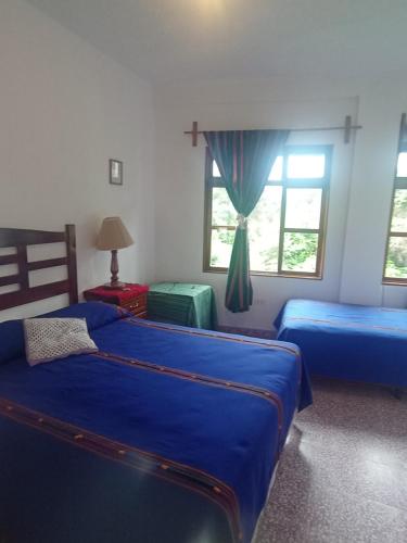 帕纳哈切尔Hostal Mario's Rooms的一间卧室设有两张带蓝色床单的床和窗户。