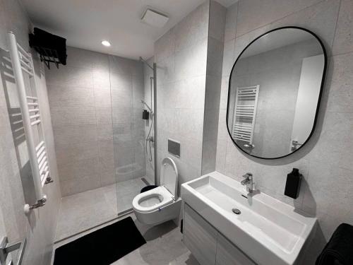 贝尔格莱德SuprStay - Belgrade Waterfront Luxury Studio的一间带水槽、卫生间和镜子的浴室