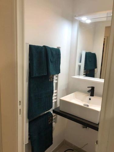 维勒瑞夫Studio confortable près de paris的浴室配有盥洗盆、镜子和毛巾