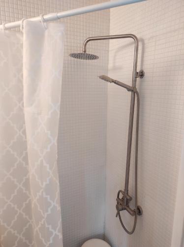 ÅmselePrzystanek Amsele的浴室设有淋浴帘和卫生间。
