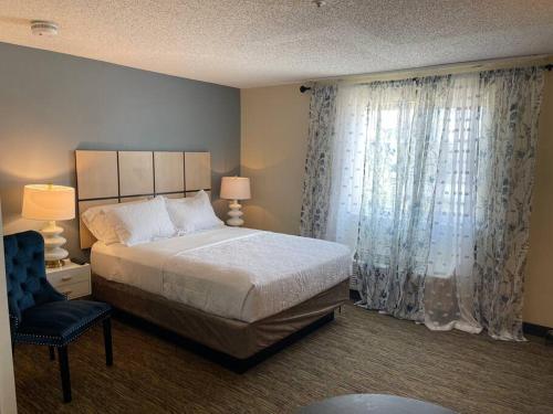 休斯顿Luxurious Escape FREE PARKING的一间卧室配有床和带窗帘的窗户