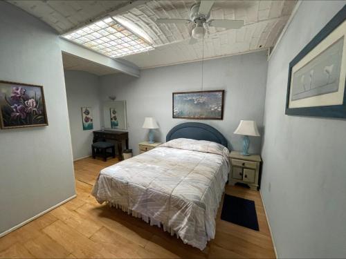 阿吉吉克Casita Montana Hotel的一间卧室配有一张床和吊扇