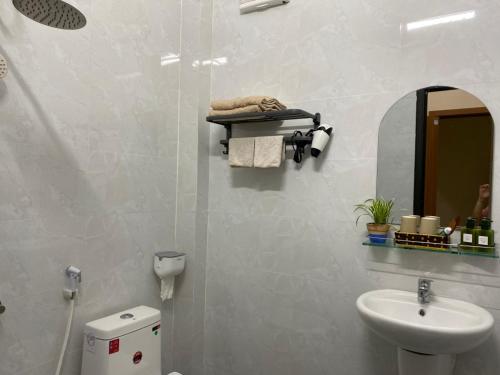 洞海Nhật Lệ Oyster House的一间带水槽、卫生间和镜子的浴室