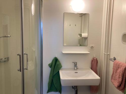 圣玛利亚瓦尔姆斯塔尔Ferienwohnung Banca Veglia的一间带水槽、淋浴和镜子的浴室