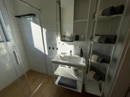 卡佩尔罗德克s`Lähmes auf der Schwend的白色的浴室设有水槽和淋浴。