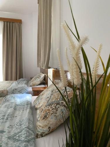 Ξενώνας Ράπτης的一间带两张床的卧室和植物