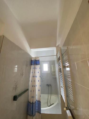 卡尼奥提Loft Oasis的带淋浴和浴帘的浴室