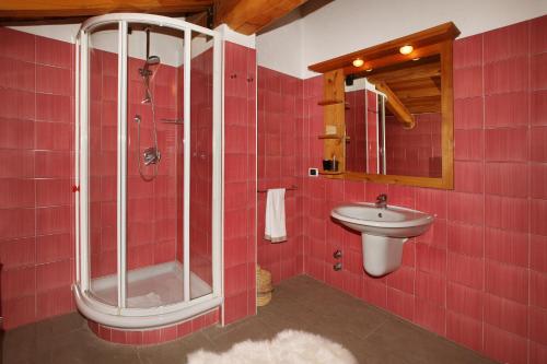 萨奥兹-杜尔克斯Chalet Faure的红色瓷砖浴室设有淋浴和盥洗盆
