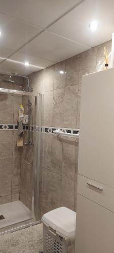 阿尔考斯布里Résidence MADRID的带淋浴、卫生间和冰箱的浴室