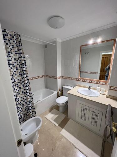 奥里韦拉Sea view apartment 2 BR costa blanca的一间带水槽、卫生间和镜子的浴室