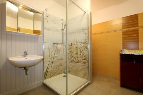 PapendorfSeeperle Große Fewo的带淋浴和盥洗盆的浴室