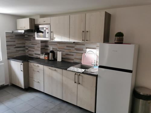 帕尔杜比采Apartmány Svítkov 79的厨房配有白色橱柜和白色冰箱。