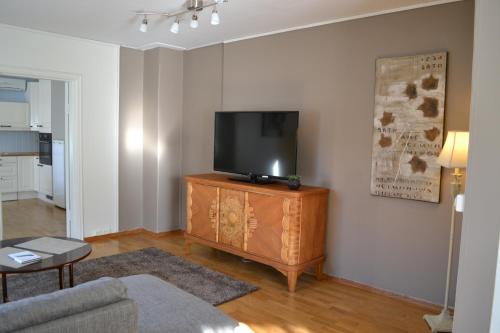 莫斯Skarmyra Apartment的客厅配有木柜上的平面电视