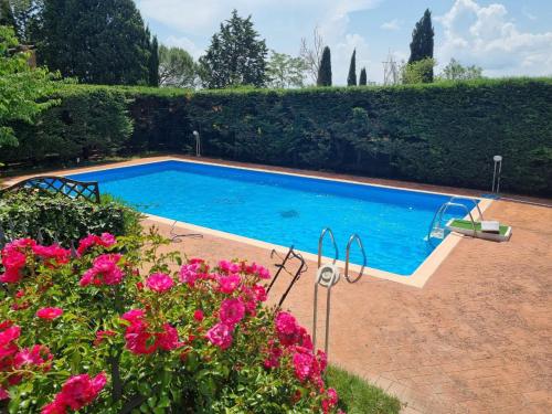 锡耶纳Gli ulivi di Siena的花园里的游泳池,花粉色