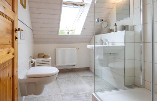 坡瑟利特兹Landhaus einer Malerin的浴室配有卫生间、盥洗盆和淋浴。