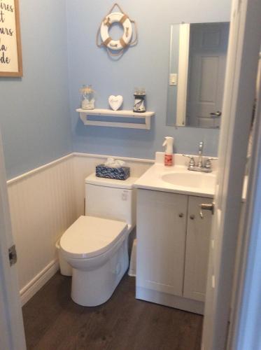 舍布鲁克Chambre confortable的一间带卫生间、水槽和镜子的浴室