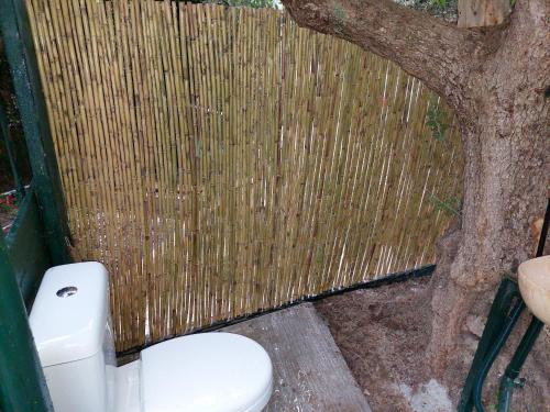 基萨莫斯Tree house nikiforos的一间位于树旁的带卫生间的浴室