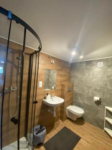 乌斯特龙Pokoje Green House的带淋浴、盥洗盆和卫生间的浴室