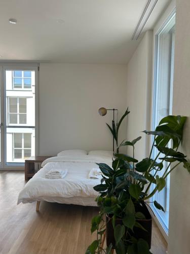 巴尔斯塔尔The R Apartment Passwang, KLIMA, NEU, Balkon, Parking的一间白色的卧室,配有床和盆栽植物