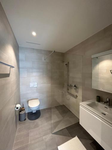 巴尔斯塔尔The R Apartment Engelberg, KLIMA, NEU, Balkon, Parking的带淋浴、卫生间和盥洗盆的浴室