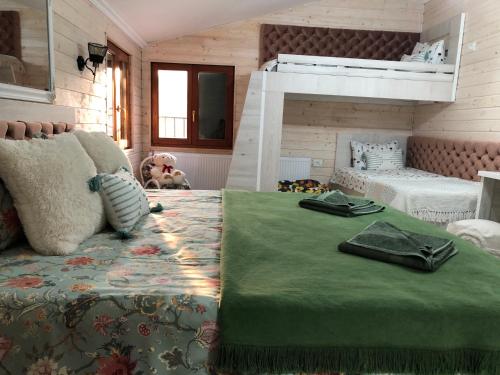沃利乌格乡Vila Relax Valiug Crivaia的一间卧室配有一张大床和一张双层床。