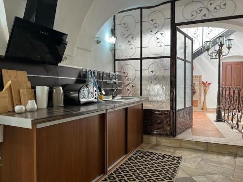 班斯卡-比斯特里察City Center Apartment的一个带水槽和柜台的厨房