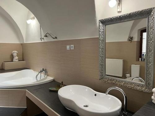 班斯卡-比斯特里察City Center Apartment的一间带水槽和大镜子的浴室