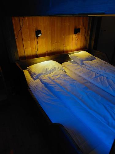 洛姆STORHAUGEN GARD的一张位于蓝色灯光的黑暗房间的床