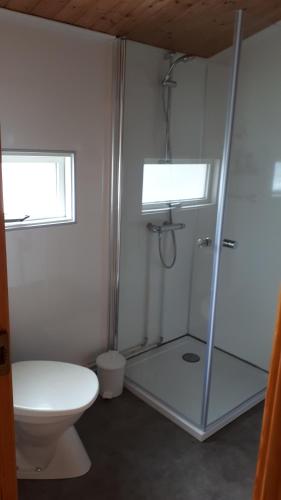 MúliSkjaldvararfoss sumarhús的带淋浴和卫生间的浴室