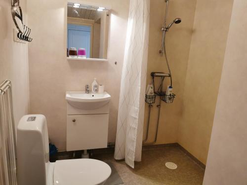瓦尔贝里Tofta Konstgalleri-Hel Lägenhet 70kvm的浴室配有卫生间、盥洗盆和淋浴。