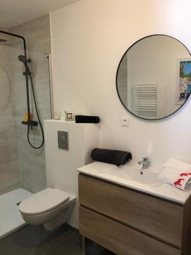 Flassans-sur-IssolePetit paradis sur golf的一间带水槽、卫生间和镜子的浴室
