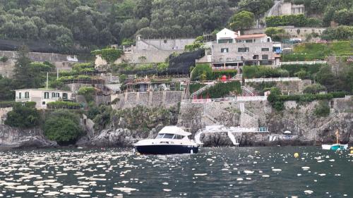 Amalfi Coast Yacht平面图