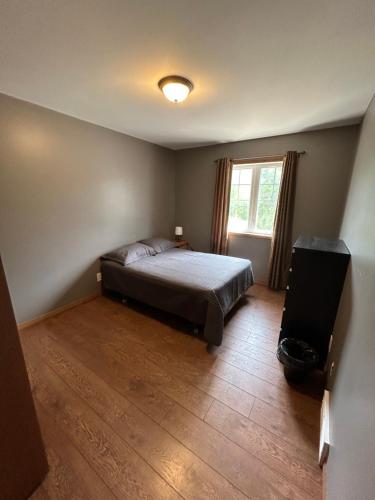 Seven Sister FallsBetula Lake Resort的一间卧室配有一张床和一台电视