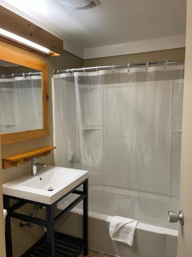 斯托北极光旅舍的带淋浴、盥洗盆和浴缸的浴室