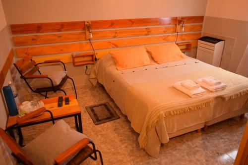 埃斯克尔hosteria las cachi alojamiento的一间卧室配有一张大床和一把椅子