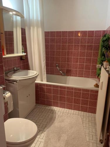 巴特萨克萨Liebevolles Appartement-Erholung pur in Bad Sachsa的浴室配有卫生间、浴缸和水槽。