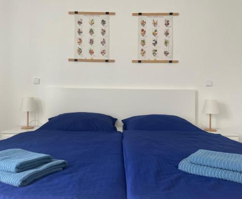 帕索尔维基PÁLAVSKÉ DOMKY的一间卧室设有2张蓝色的床和2个窗户。