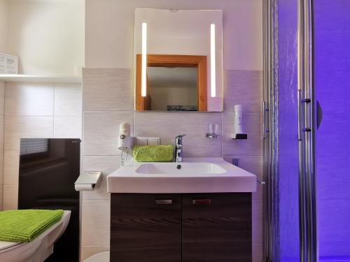 瓦格赖恩Oberauer Wagrain - Die Eco Familien Hotelpension B&B的一间带水槽和镜子的浴室