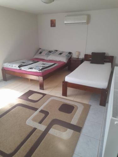 尼赖吉哈佐Viktória Apartman的一间设有两张床的客房,地板上铺有地毯。