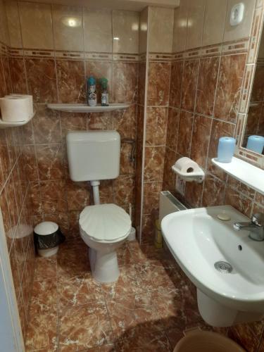 尼赖吉哈佐Viktória Apartman的一间带卫生间和水槽的浴室