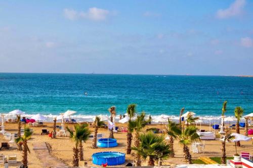 亚历山大天堂海滩度假酒店的棕榈树海滩和海洋