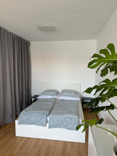 伊赫拉瓦Apartmán ERUDITO的卧室配有白色的床和植物