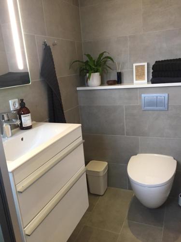 TommerupLarge modern family room - “Arnely”的浴室配有白色水槽和卫生间。