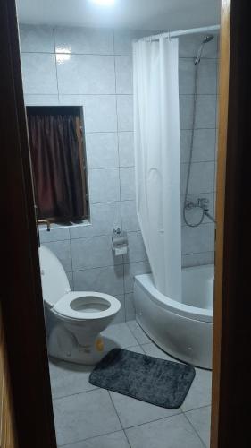 比耶利纳Drinska Ljepotica的浴室设有卫生间和带浴帘的淋浴。