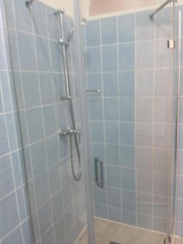 鲁巴达Kiwi Nest的浴室设有蓝色瓷砖淋浴。