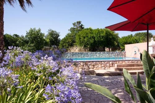 蒙希克Casa Spa d'Alma的鲜花盛开的花园和一个游泳池