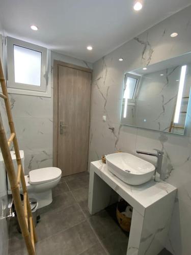 阿纳维索斯Sea Through Apartment Anavissos的一间带卫生间、水槽和镜子的浴室